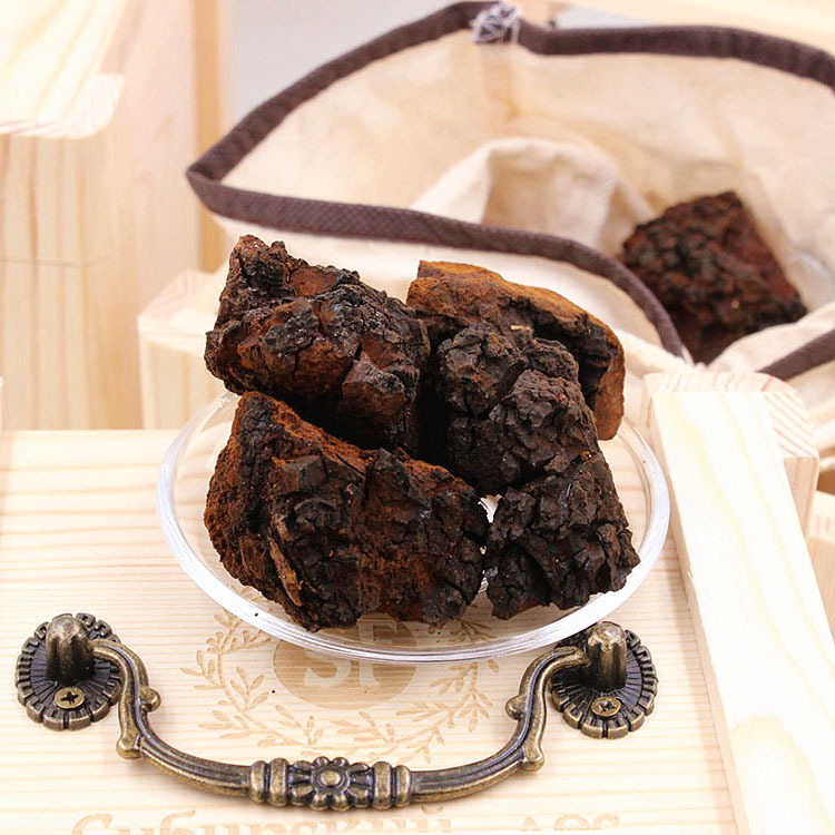 桦树茸白桦茸桦褐孔菌黑皮密度块500克/盒礼盒