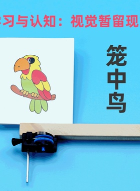 diy笼中鸟科学实验幼儿手工自制发明科技小制作材料SETM教育玩具