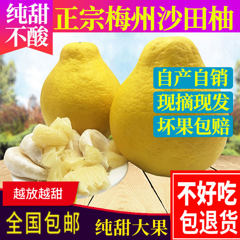 梅州沙田柚子广东梅县金柚正宗客家水果小白心肉孕妇当季新鲜柚子,水产肉类/新鲜蔬果/熟食,柚子,淘宝优惠券,粉丝福利购,淘宝优惠卷