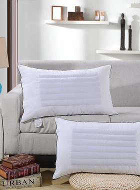 学生宿舍荞麦枕芯 Buckwheat dual-purpose core student pillow