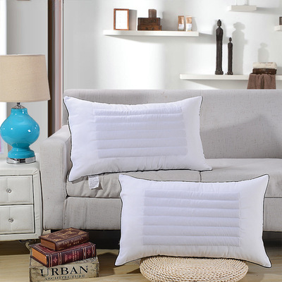 学生宿舍荞麦枕芯 Buckwheat dual-purpose core student pillow