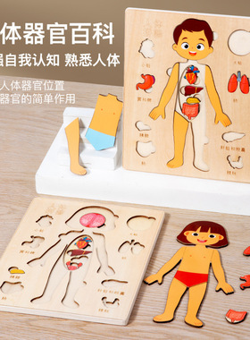 人体身体结构拼图器官解剖骨骼认知小孩身体五脏六腑内脏中英文版