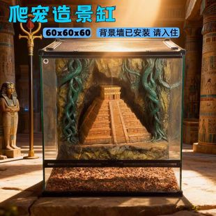 606060爬宠饲养箱玻璃缸饲养箱带3D仿真造景背景板雨林缸