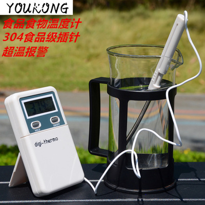 插针式食品温度计WT-2