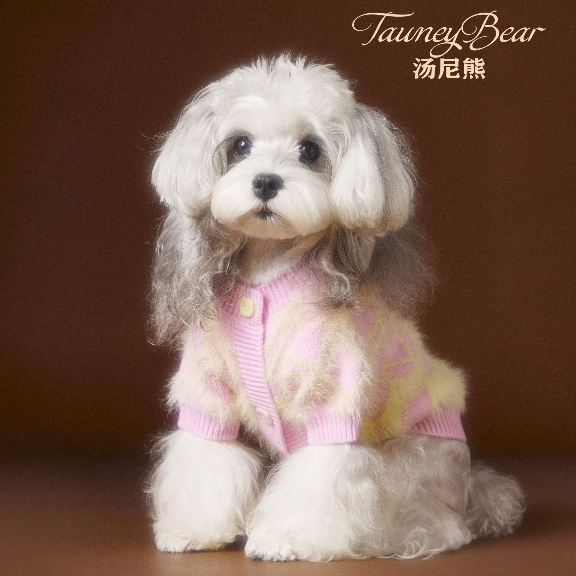 汤尼熊女狗狗衣服开衫毛衣雪纳瑞