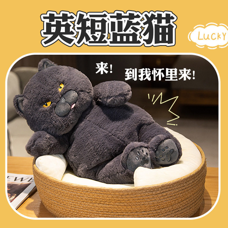 宠物猫咪玩偶可爱英短蓝猫毛绒玩毛绒/玩偶/公仔/布