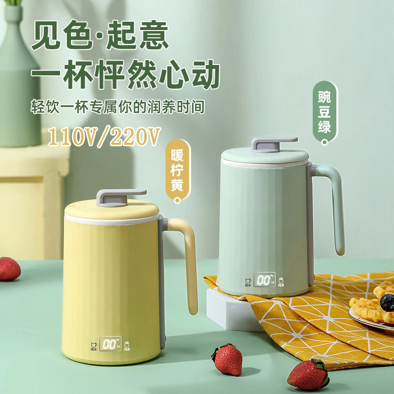 小功率电热水杯摩茶炖煮养生杯