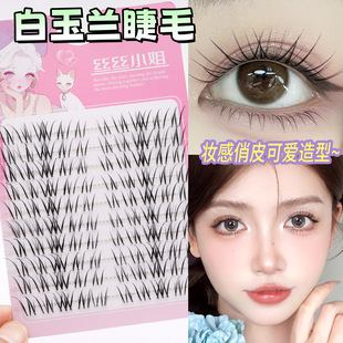 丝丝小姐白玉兰漫画上睫毛自然仿真不规则横向放大双眼清透嫁接感