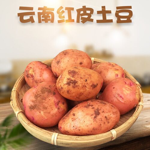云南红皮黄心粉糯小土豆 发5斤新鲜马铃薯应季蔬菜非恩施土豆
