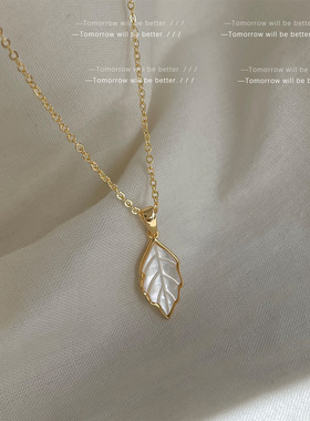 春知秋叶。 法式复古极简真贝壳树叶锁骨链颈链小众轻奢风项链女