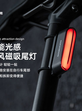骑行配件自行车尾灯洛克兄弟