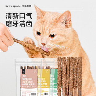 猫零食木天蓼猫咪磨牙棒猫薄荷洁齿幼猫啃咬逗猫棒换牙期猫玩具