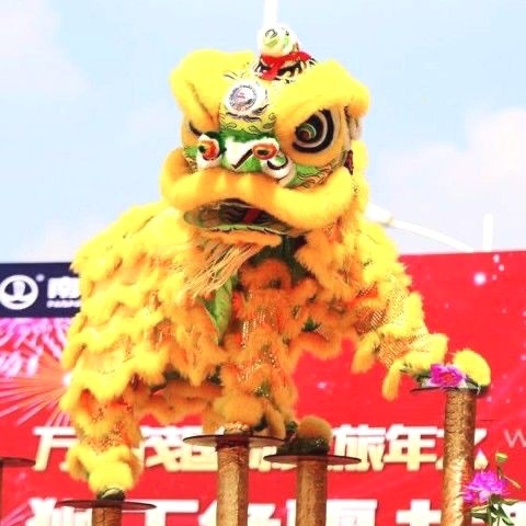 舞龙舞狮道具整套舞狮子佛山舞狮醒狮用品南狮醒狮头成人全套双人