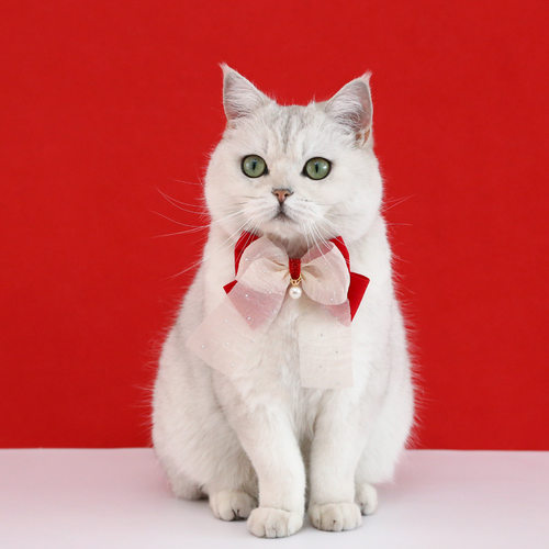 围脖宠物项圈猫咪小狗围脖围兜