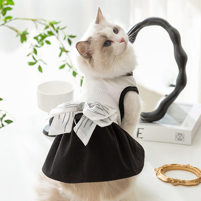 大蝴蝶可牵引背心裙猫咪裙子猫猫蓝猫布偶衣服宠物服饰防掉毛服装