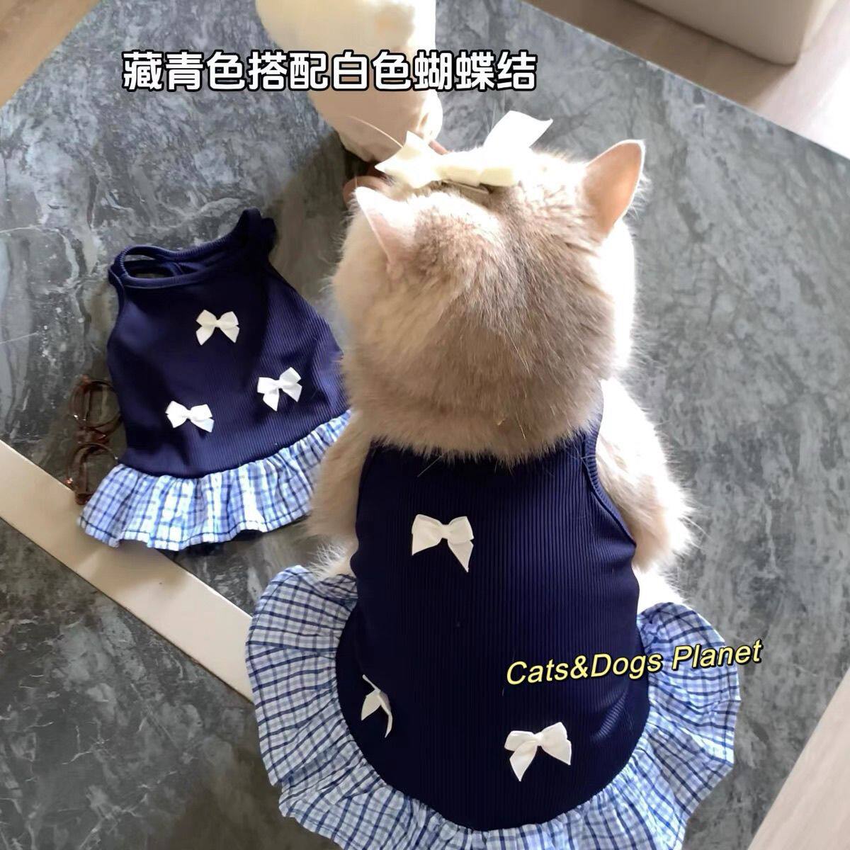 夏季猫狗可爱吊带裙夏装图片