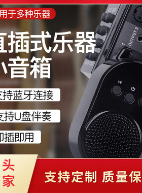 电吹管蓝牙伴奏直插式5W小音箱 雅思乐电吹管U盘伴奏舞台便携音箱