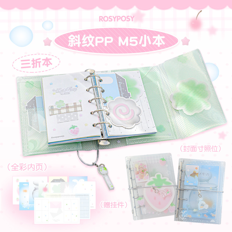 M5手账本unlockrosyposy小清新