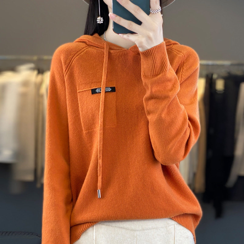 连帽卫衣女2024新款秋冬季韩毛针织衫