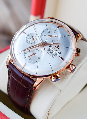 瑞夫泰格士手表Reef Tiger  Men's Automatic Mechanical Watch