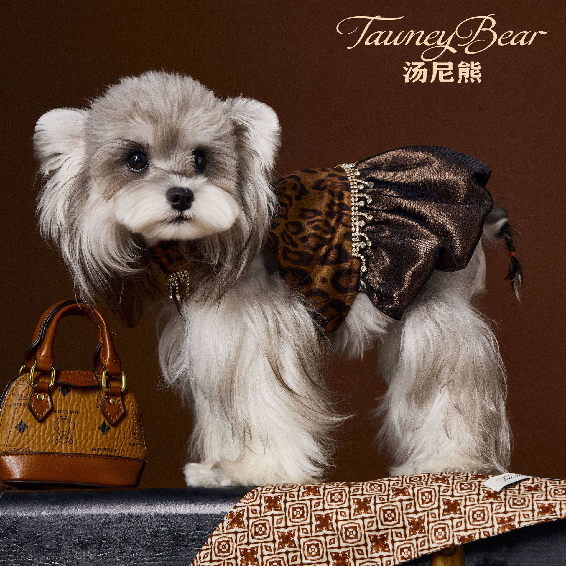 秋冬装小狗狗衣服宠物泰迪雪纳瑞比熊约克夏马尔济斯博美项链裙子