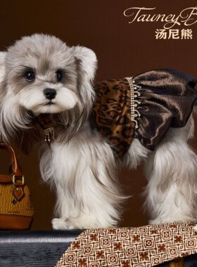 秋冬装小狗狗衣服宠物泰迪雪纳瑞比熊约克夏马尔济斯博美项链裙子