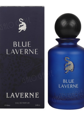 Laverne跨境香水中东perfumes蓝色100ml阿拉伯香水外贸款