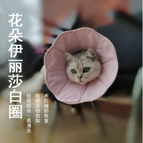 伊丽莎白圈EVA猫咪术后防舔伤口防抓咬柔软头套狗狗脖圈宠物用品