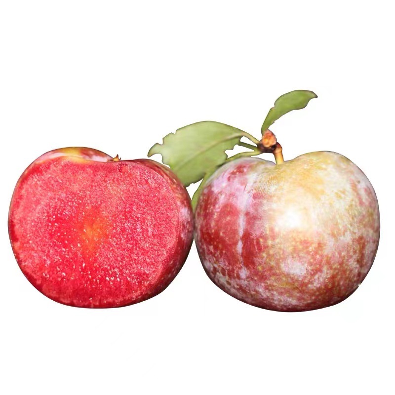 广西三华李5斤新鲜李子早李应季现摘现发三华大李果肉红心皮薄汁