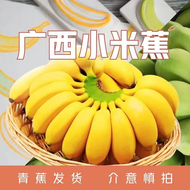 小米蕉粉蕉好吃不上火助消化米蕉