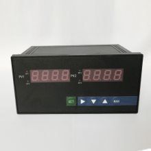 NPXM-2011PA6数显表上海上润仪表