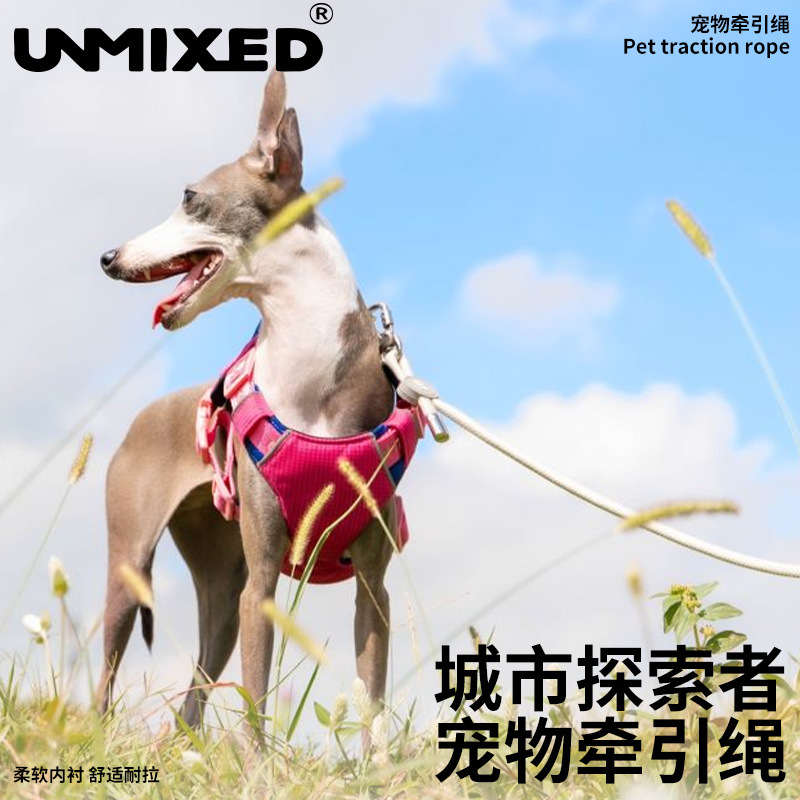 UNMIXED探索者牵引绳狗狗遛狗宠物多功能牵绳户外牵引四季