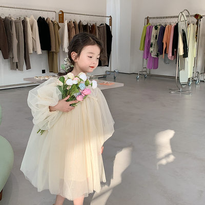 韩版儿童蕾丝裙蓬蓬纱公主裙
