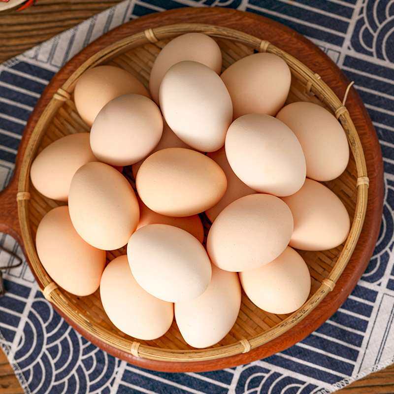 正宗散养土鸡蛋20枚800g山林