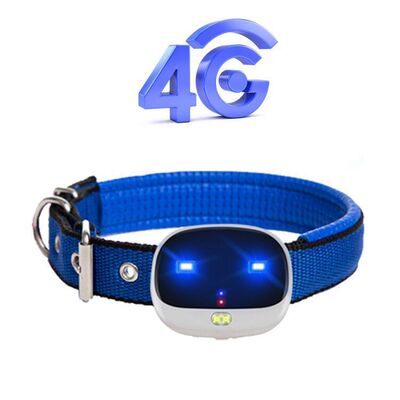 4G 宠物GPS定位器 G01 多功能 GPS pet tracker 跨境电商货源V43