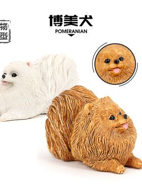 博美犬模型仿真狗实心博美犬可爱松鼠犬白色黄色摆件儿童科教玩具