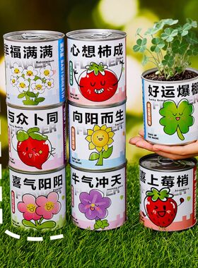 儿童励志种植小盆栽创意手工DIY植物头盆栽 小学生种植盲盒礼品