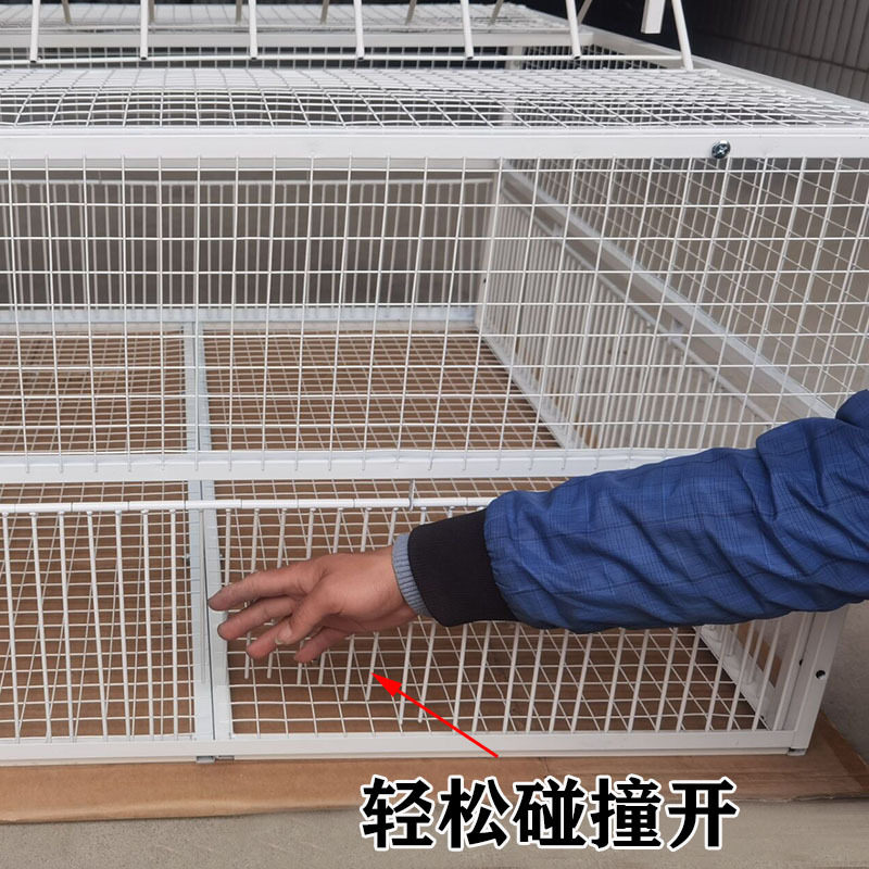 新款加密撞门笼天落笼子跳笼鸽子信鸽野外只活络进不出自动捕户外