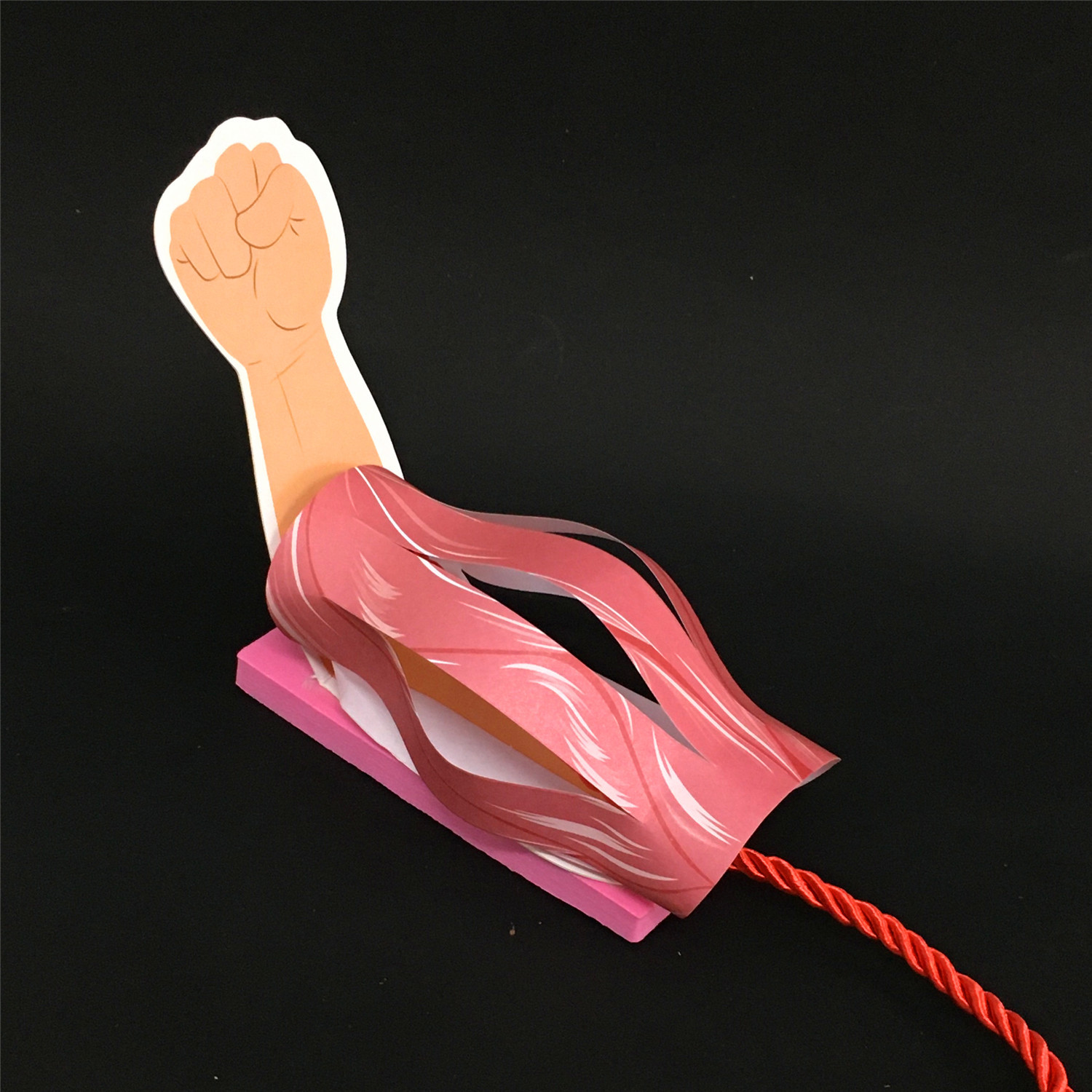 diy材料物理实验趣味玩具肌肉