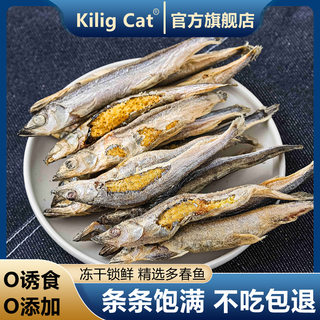 KiligCat猫零食小鱼干多春鱼营养冻干宠物猫咪幼猫狗磨牙营养零食