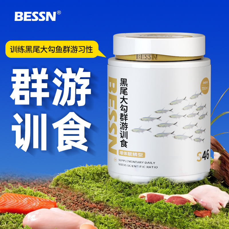 BESSN黑尾大勾鱼群游训食饲料群游训食红鼻子剪刀一眉道人孔雀鱼