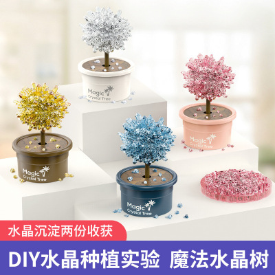 水晶种植科学小实验diy