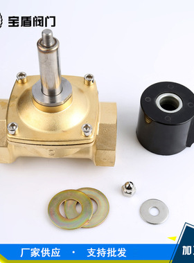 厂家供应 黄铜电磁阀 防水防潮2W50电磁阀水阀DN50u.