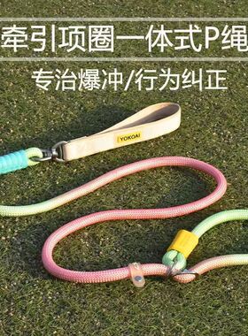 狗狗防爆冲P绳一体式牵引项圈防缠绕中大型犬训练绳渐变色宠物绳