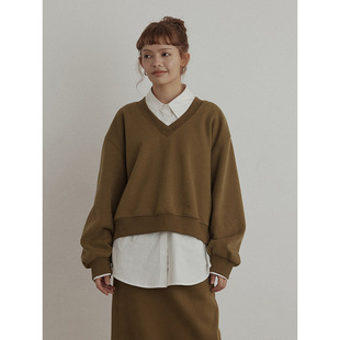 玳禾 长袖 冬季 休闲舒柔加绒V字领百搭纯色净版 卫衣H5853 新品