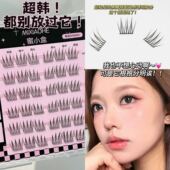 吼吼看 蜜小盒韩系短款 ACE假睫毛 免胶免卸 女团爱豆 根根分明
