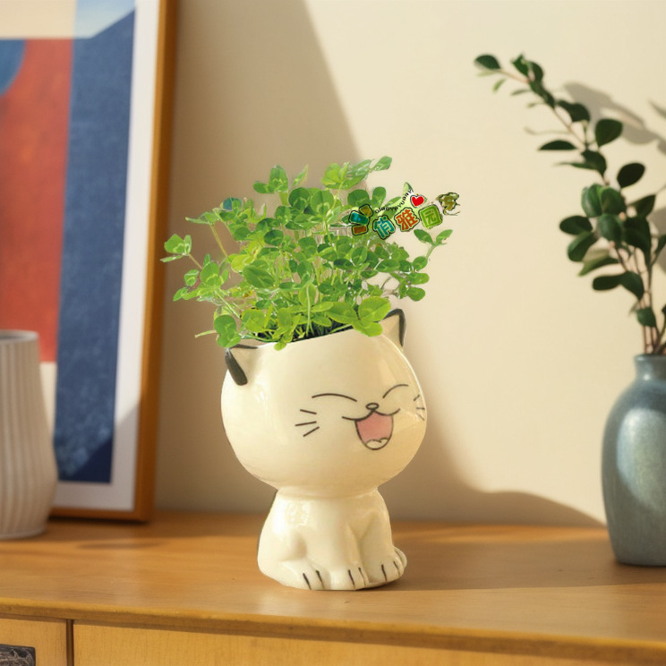 儿童幼儿园种植小草盆栽绿植物种子发芽草头娃娃种草头上长草娃娃