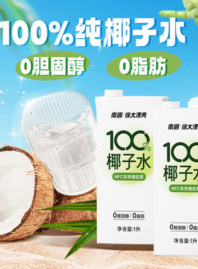 三亚原味椰子水海南特产南国食品