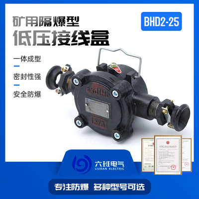 矿用隔爆型接线盒BHD2-25/660(380)-2T/3T/4T三通低压电缆接线盒