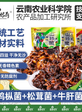 产地严选农科院云南特产山珍菌香菇菌菇解馋牛肝菌松茸菌小零食